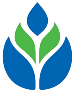 IBPS RRBs (REGIONAL RURAL BANKS)